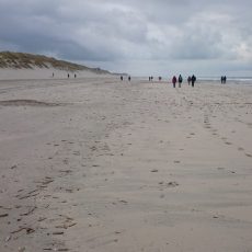 NMV-excursie naar Ameland