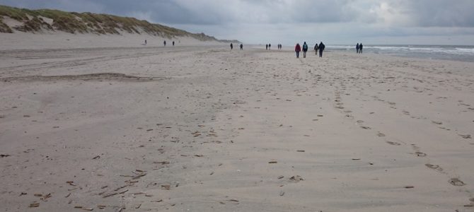 NMV-excursie naar Ameland