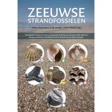 Herdruk ‘Zeeuwse strandfossielen’