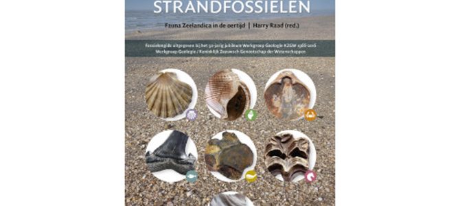 Herdruk ‘Zeeuwse strandfossielen’