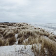 Waddenbelevingscentrum De Noordhoren opent zijn deuren