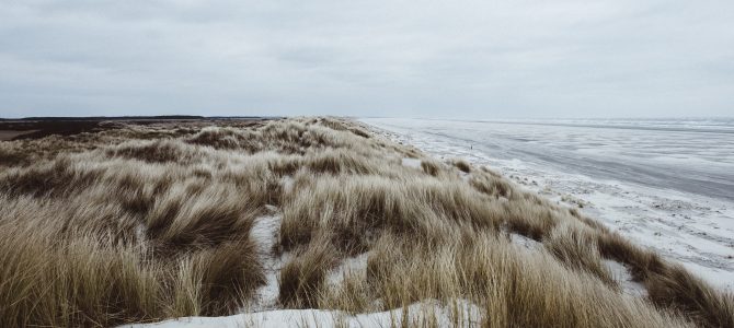 Waddenbelevingscentrum De Noordhoren opent zijn deuren