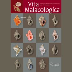 Vita Malacologica 15: Muricidae