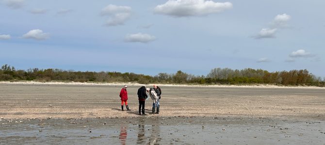 Nieuwe Nederlandstalige strandvondstengids